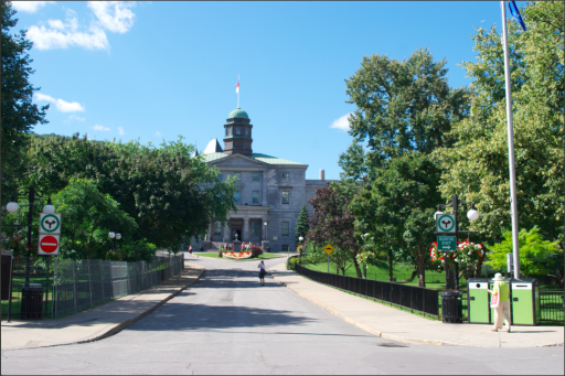 McGill Üniversitesi