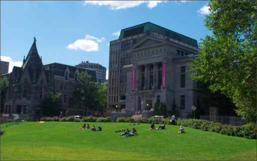 McGill Üniversitesi